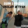 SUM 2 PROVE (feat. Tpak) [Explicit]