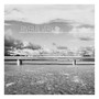 River Revery