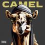 Camel (Explicit)