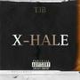 X-HALE (Explicit)