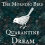 Quarantine Dream