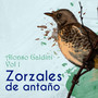 Zorzales de Antaño / Alonso Galdini, Vol. 1