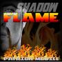 Shadow & The Flame