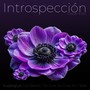 Introspección (Explicit)