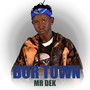 Bor Town