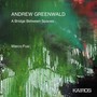 Andrew Greenwald: A Bridge Between Spaces