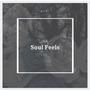 The Soul Feels (Explicit)