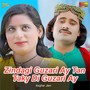 Zindagi Guzari Ay Tan Taky Di Guzari Ay