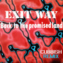 Back To The Promised Land (Cubbish Remix)