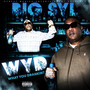 W.Y.D. What You Drankin (Explicit)
