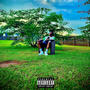 I Never Been My Favorite Color (Explicit)