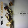 Night Flower