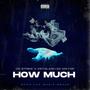 How Much (feat. Keyslash Da Mayor) [Explicit]