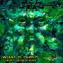 What is OHM?! (DJ Whistleblower Remix)