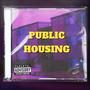 Public Housing (feat. DreBxnddz) [Explicit]