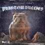 Phantom Bullies (feat. Muzz) [Explicit]