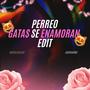 Perreo Gatas Se Enamoran (feat. JuancaRMX) [Remix] [Explicit]