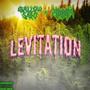 Levitation (feat. Natrix) [Explicit]