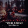 Yaprak Dökümü (Enstrümantal)