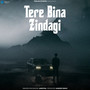 Tere Bina Zindagi