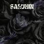 SALUHIN (feat Verseau & Young Boy Cali)