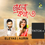 Na Bola Kotha 3 (6) (Tiktok)