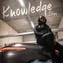 Knowledge (Explicit)