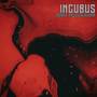 Incubus