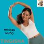 TINGISHA (feat. KENTTO & MAHD KASLING)