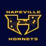 Hapeville Sting Team Hornets