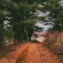 The Hike