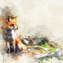 Grandfathered Fox