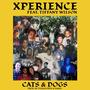 Cats & Dogs (feat. Tiffany Wilson) [Explicit]
