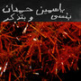 Shmaali شمالي