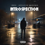 INTROSPECTION (Explicit)