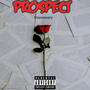 Prospect (Explicit)