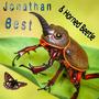 Horned Beetle (Explicit)