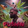 Pushin' (Explicit)