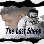 The Last Sheep