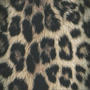 Cheetah Print (Explicit)