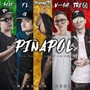 PIÑAPOL