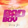 Am Not a Bad Boy (Explicit)