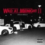 Wild at Midnight 2 (Explicit)