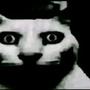 N0 C0MPARIS0N (Explicit)
