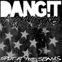 Split at the Seams (feat. Omnigone & Flying Raccoon Suit)