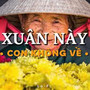 Xuân Này Con Không Về Lofi