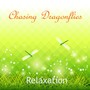 Chasing Dragonflies Relaxation