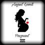 Pregnant (Explicit)