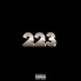 223 (Explicit)