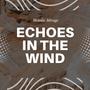 Echoes in the Wind